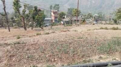 खडेरीले खेतबारी