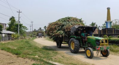 बोटसँगै मकै बिक्री