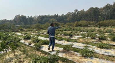 वनमा डढेलो, बस्तीमा छिरे वन्यजन्तु