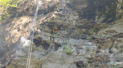 धादिङको तेम्बाह्यारा महभिरमा ‘हनी हन्टिङ’