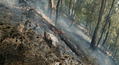 ललितपुर डढेलो