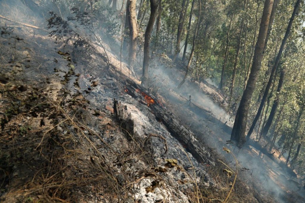 ललितपुर डढेलो