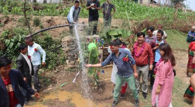 एक घर, एक धारा