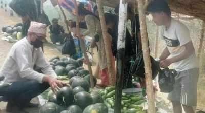 बगरमा तर्बुजा खेती, राजमार्गमा बिक्री