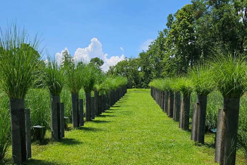 भेटिभर खेतीको प्रवर्द्धन