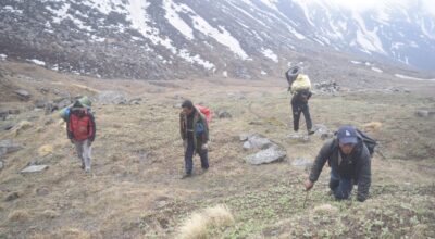 यार्सागुम्बाको खोजी