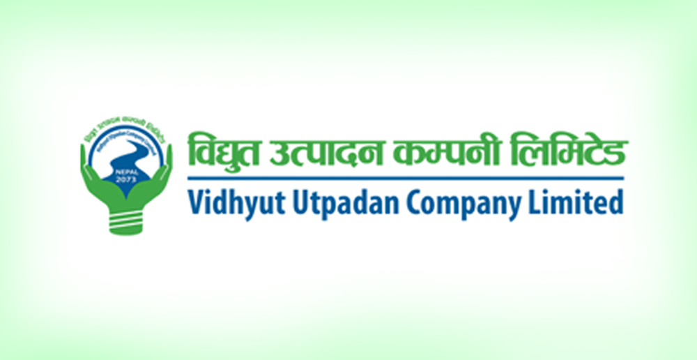 विद्युत् उत्पादन कम्पनी