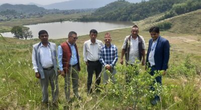 कागतीखेती