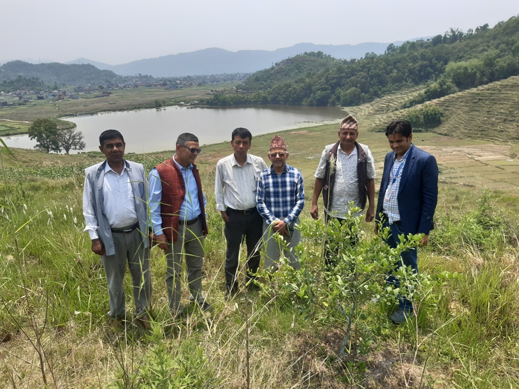 कागतीखेती