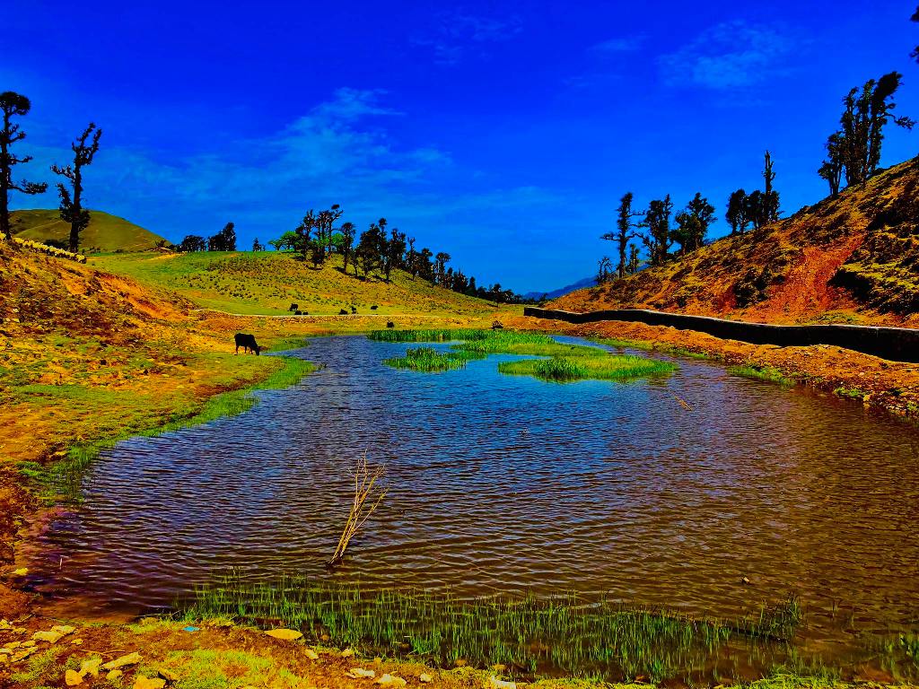 रिग ताल