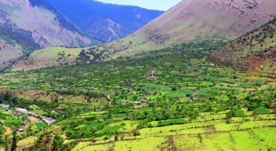 बागलुङको निसेलढोर