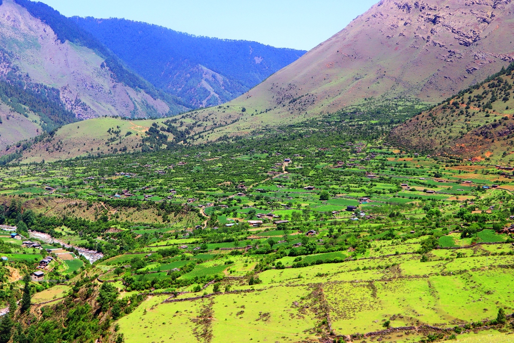 बागलुङको निसेलढोर