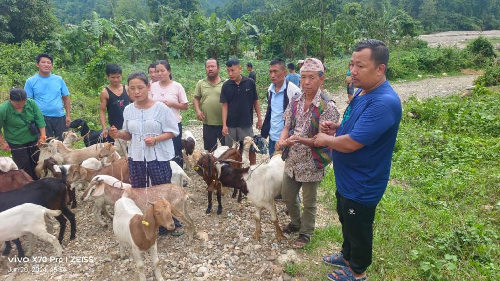उन्नत जातका बाख्रा वितरण