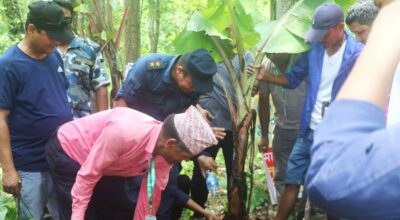 बिरुवा रोपिए