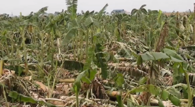 केरामा क्षति