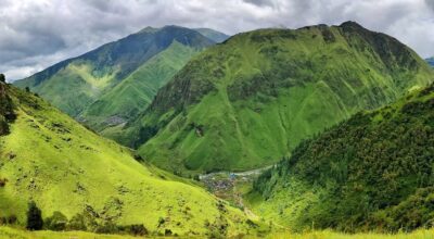 गुरिल्ला ट्रेक