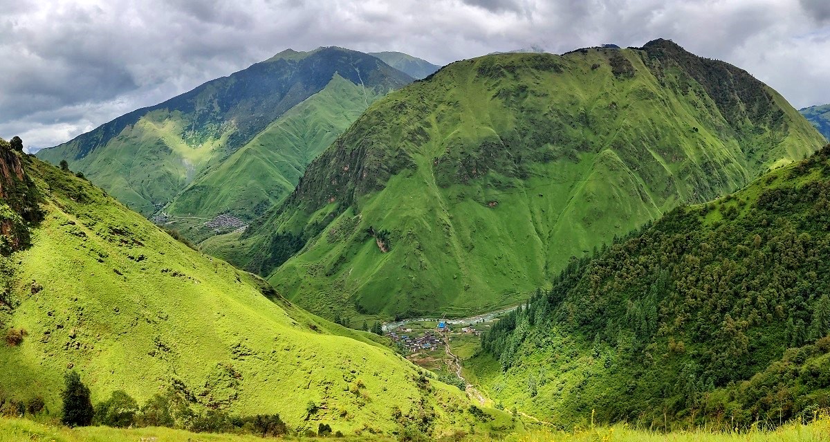 गुरिल्ला ट्रेक