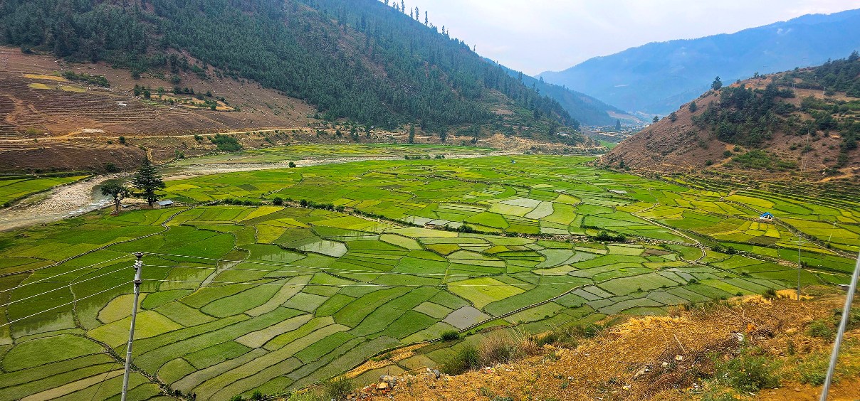 जुम्लाको सिंजा उपत्यका