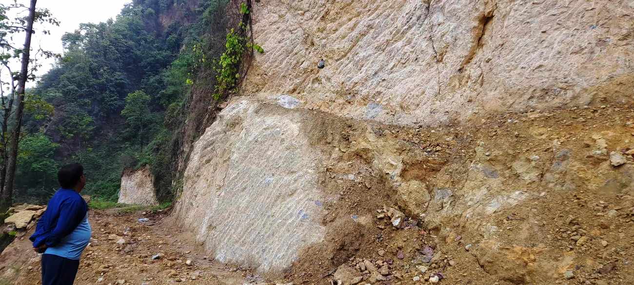 कालीगण्डकी करिडोर : फलेवास–अर्मादी खण्ड