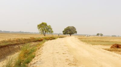 मर्चवारमा बहुउद्देशीय सडक निर्माण