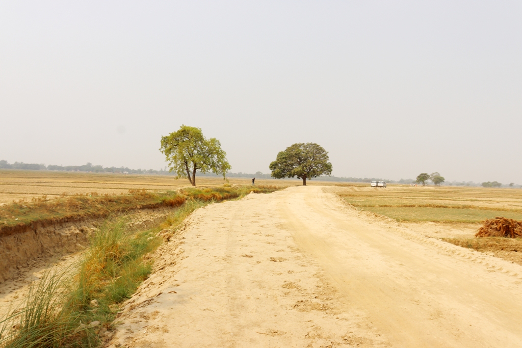 मर्चवारमा बहुउद्देशीय सडक निर्माण