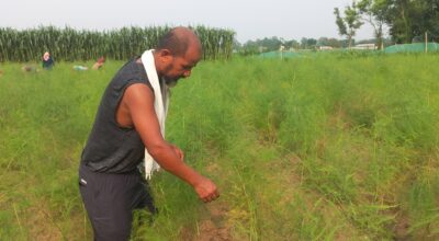 कुरिलोखेती