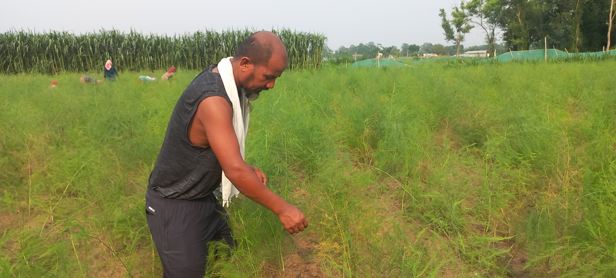 कुरिलोखेती