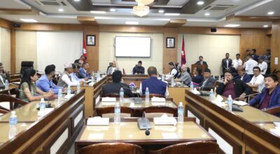 रवि लामिछाने