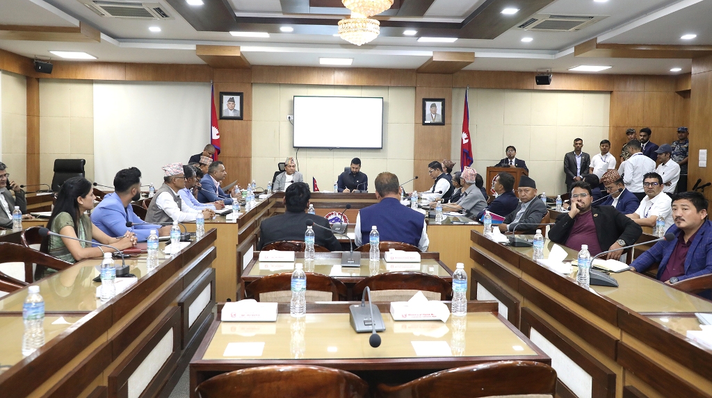 रवि लामिछाने