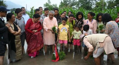 शीतल निवासमा भएको धान रोपाइँमा राष्ट्रपति पौडेल सहभागी