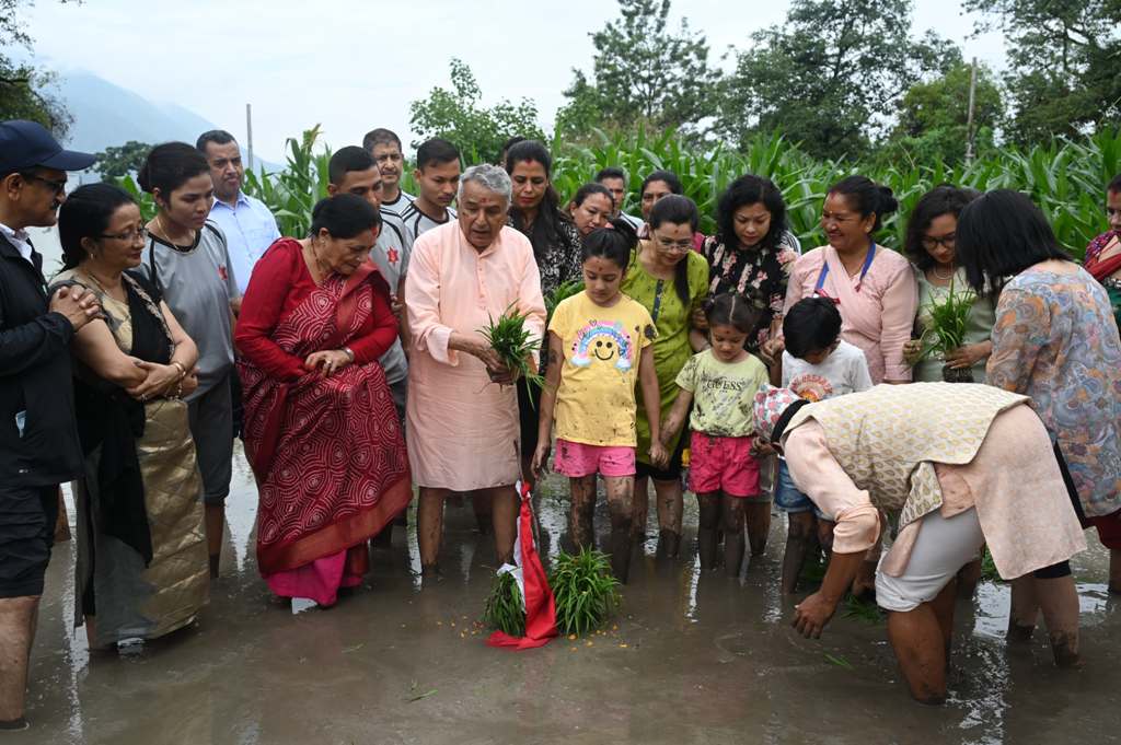 शीतल निवासमा भएको धान रोपाइँमा राष्ट्रपति पौडेल सहभागी