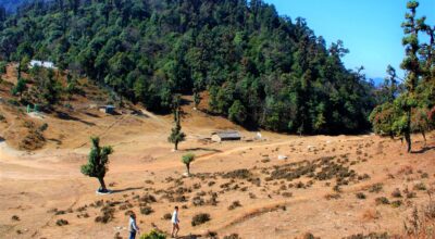 सोलेडाँडा जडीबुटी अनुसन्धान केन्द्र