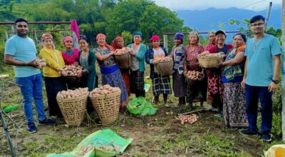 ब्राण्डिङ