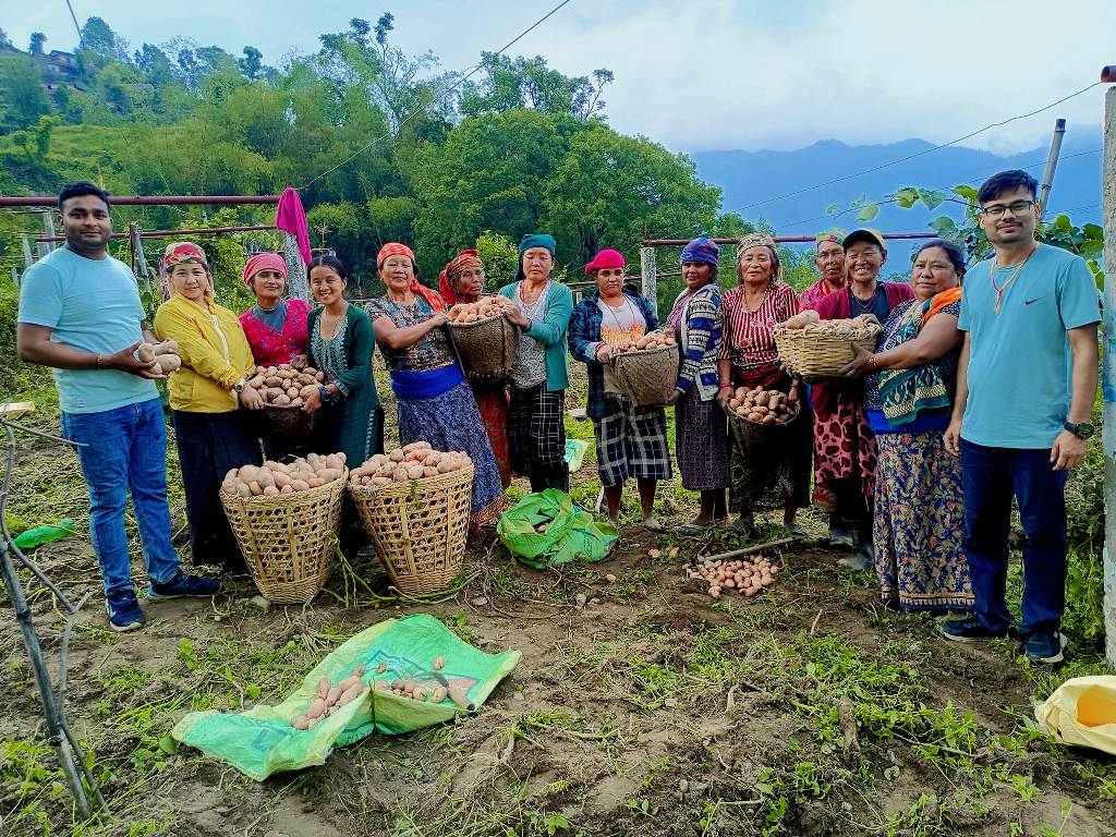 ब्राण्डिङ