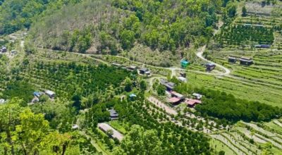 आलुखेती विस्तार