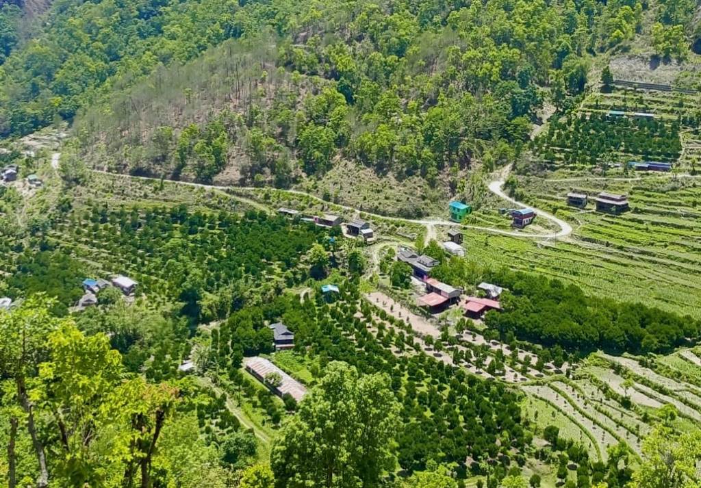 आलुखेती विस्तार