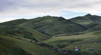 बडिमालिका क्षेत्र