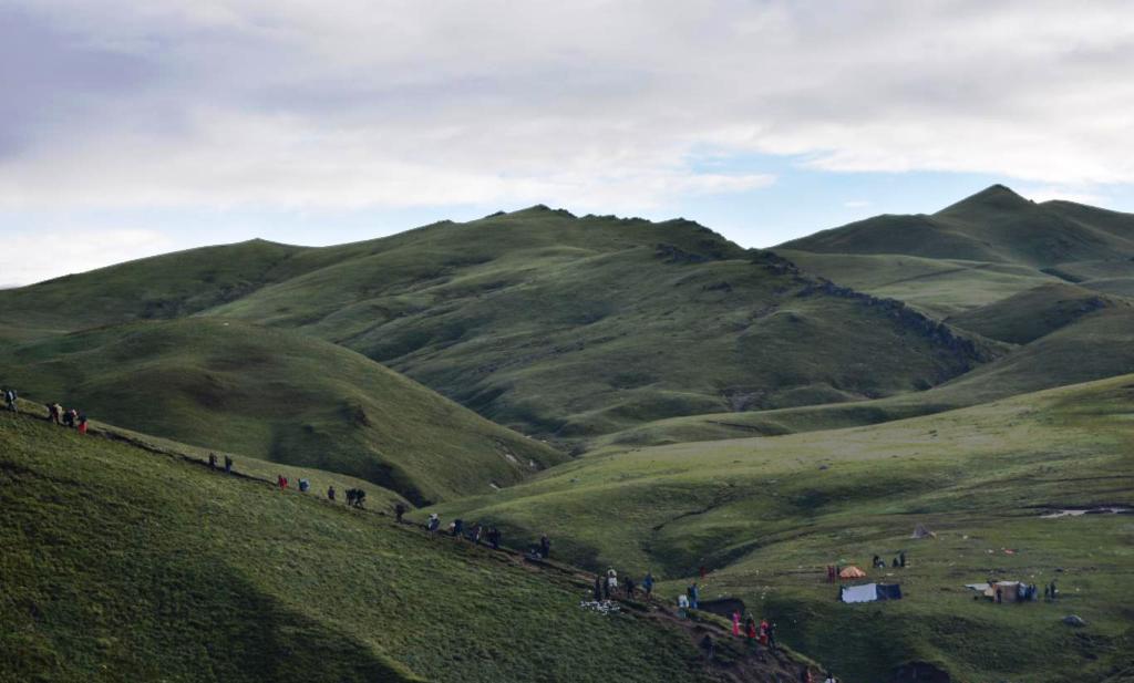 बडिमालिका क्षेत्र