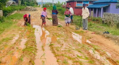 भानुमार्ग ट्रयाक