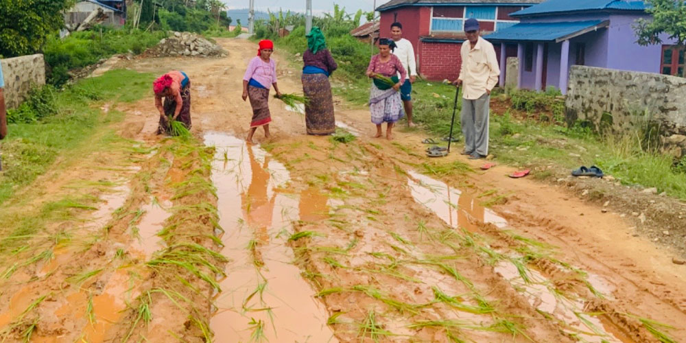 भानुमार्ग ट्रयाक