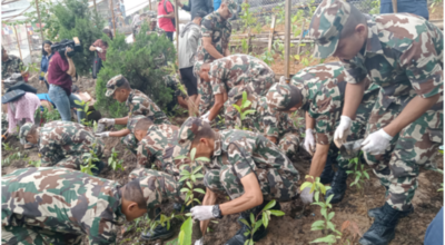 विश्व सम्पदास्थल स्वयम्भू क्षेत्रमा वृक्षारोपण