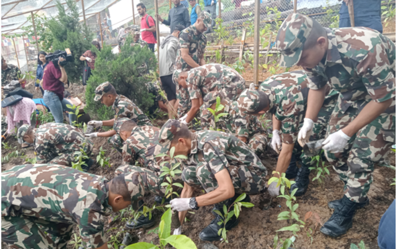 विश्व सम्पदास्थल स्वयम्भू क्षेत्रमा वृक्षारोपण