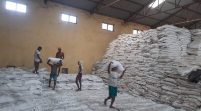 रासायनिक मल