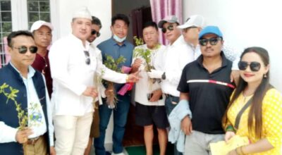 ग्रिन एण्ड क्लिन