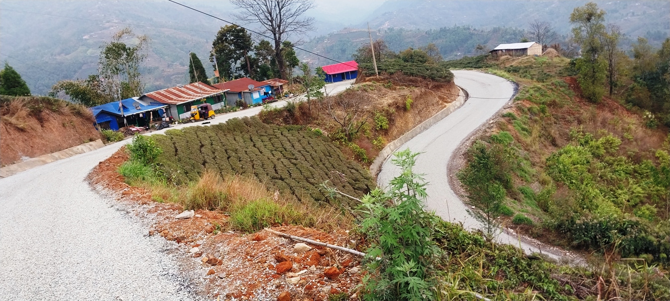 इलामको फिक्कल–नयाँबजार सडक कालोपत्र