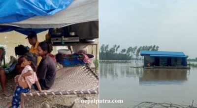 कैलाली भजनी बाढी त्रिपाल