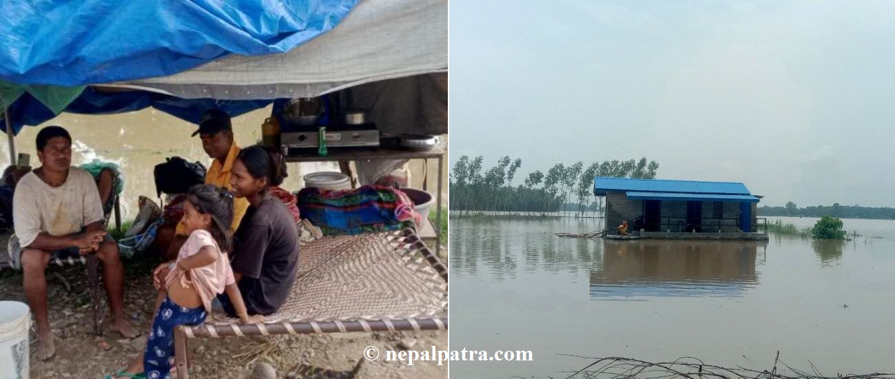 कैलाली भजनी बाढी त्रिपाल