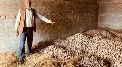 आलु प्रवर्द्धन कार्यक्रम