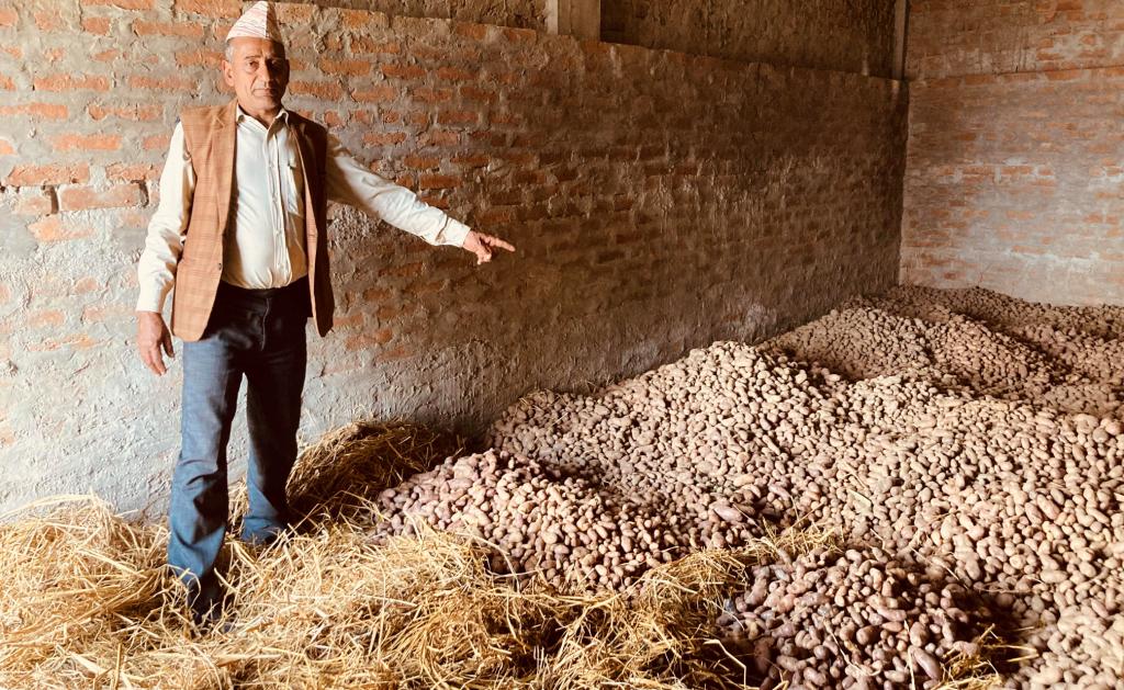 आलु प्रवर्द्धन कार्यक्रम