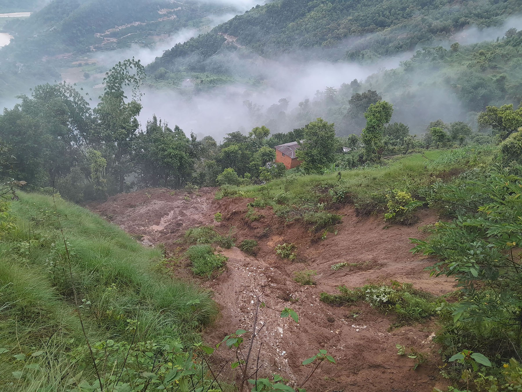 बाढी पहिरा